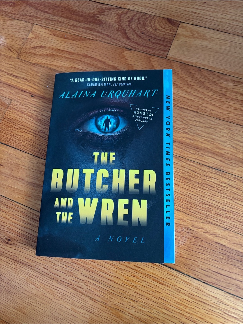 The Butcher and the Wren by Alaina Urquhart - Black & Blue Cover